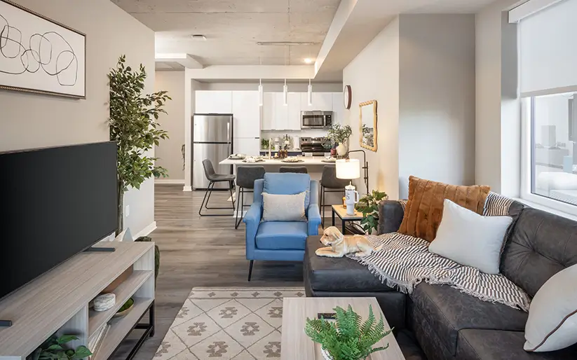 furnished living space