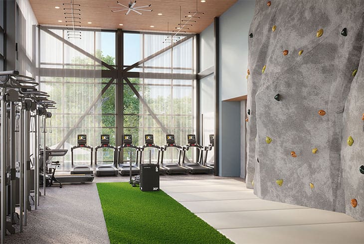 Rock wall