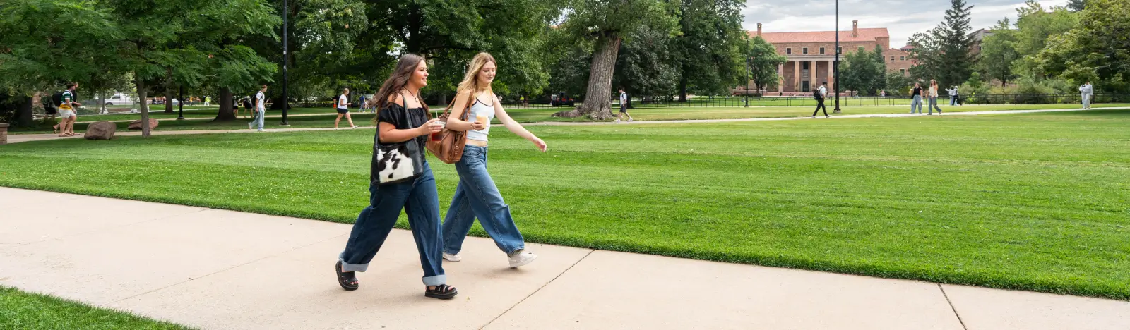 People walking in the park